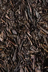 Hojicha and Genmaicha: Japan's Roasted and Toasted Teas