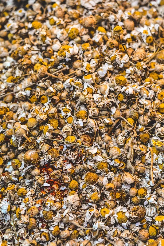 Herbal Tea vs. Real Tea: A Guide to Tisanes