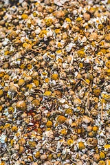Herbal Tea vs. Real Tea: A Guide to Tisanes