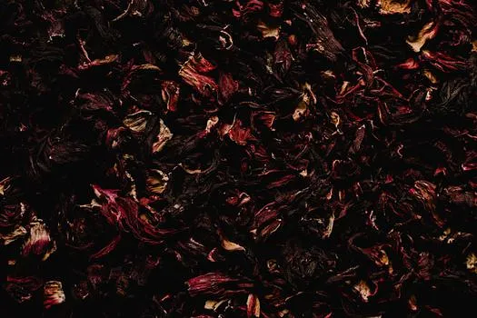 Hibiscus