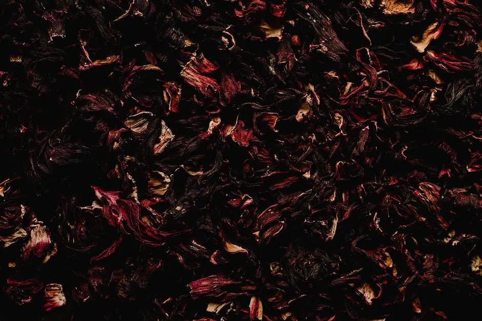 Hibiscus