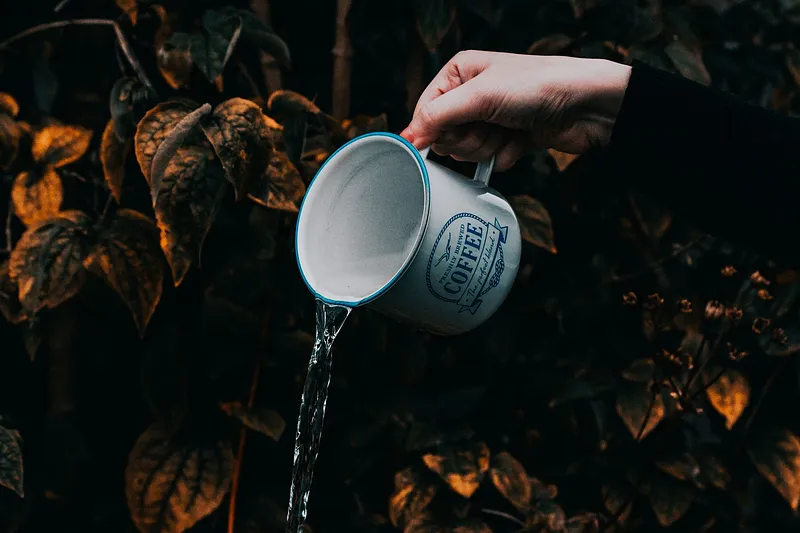 Why Your Water Matters as Much as Your Tea Leaves
