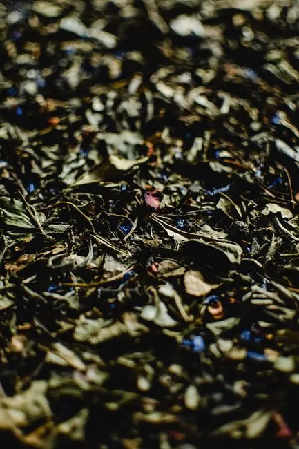 White Tea